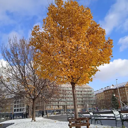 Rooseveltova Near Castle